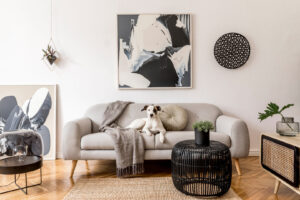 A modern, stylish living room featuring a light gray sofa with modern wall art and decorations. A white dog with brown and black markings is lounging on the sofa. 